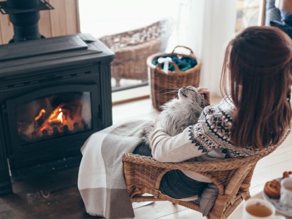 Estufas de pellet: ventajas e inconvenientes 