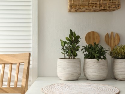 Apuesta por las plantas aromáticas para decorar tu hogar 
