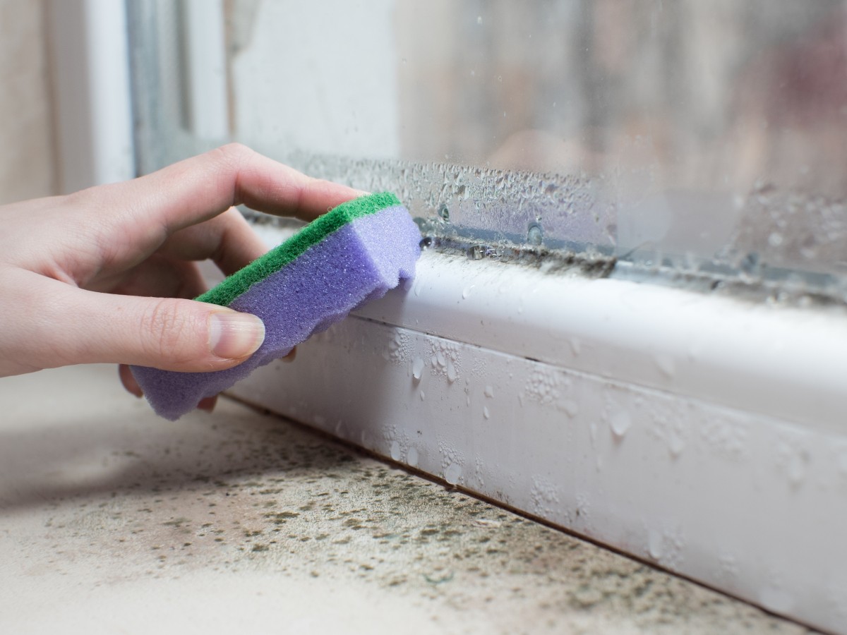 Cómo limpiar manchas de humedad de las paredes incluso si ya