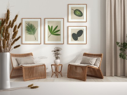 Conecta con la naturaleza. Estilo decorativo Biofilia