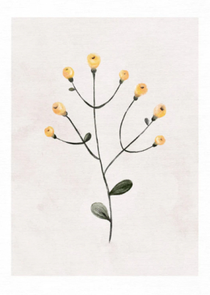 YELLOW TREASURE, Artesta
