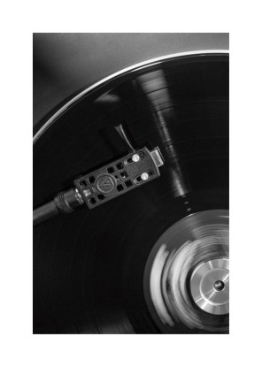 Vinyl II, Artesta