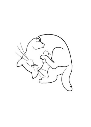 CAT LINE NO.1, Artesta