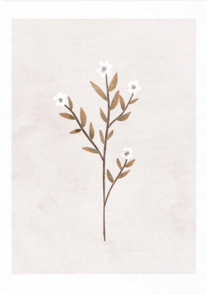 FORGET ME NOT, Artesta