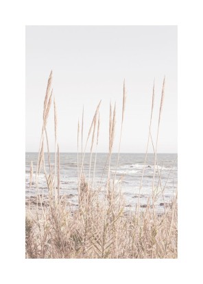 Beach Vass I, Artesta