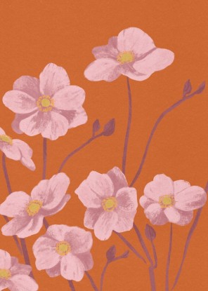 Anemone, Artesta