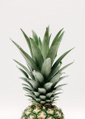 Pineapple Top Print, Artesta
