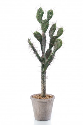 Sabra 80 cm, Decoplanta