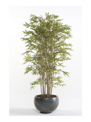 Bambú Deluxe 185cm, Decoplanta