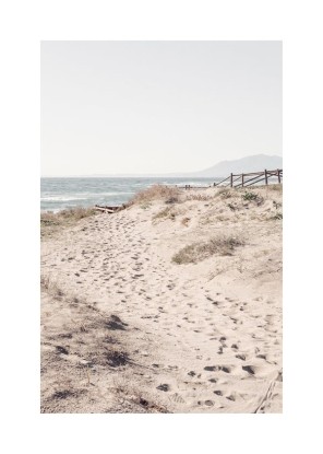 Beach VIII, Artesta