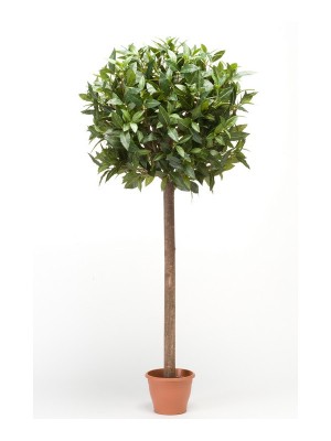 Laurel Esfera 65 cm, Decoplanta
