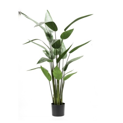 Heliconia 130 cm, Decoplanta