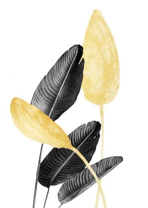 BIRD OF PARADISE PLANT BLACK, WHITE AND GOLD 02, Artesta