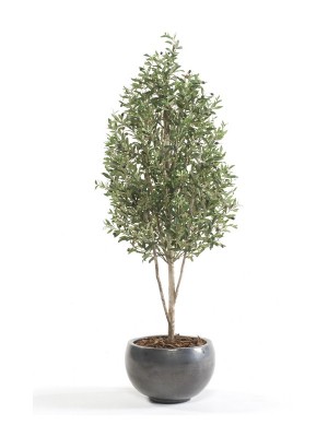 Olivo mini 175 cm, Decoplanta