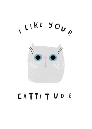 CATISFACTION 6, Artesta