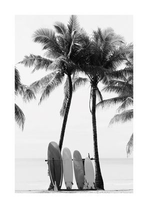 Surfboards, Desenio