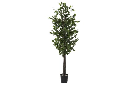 ARBOL MADERA POLIESTER 80X80X180 FICUS VERDE, Wabitap